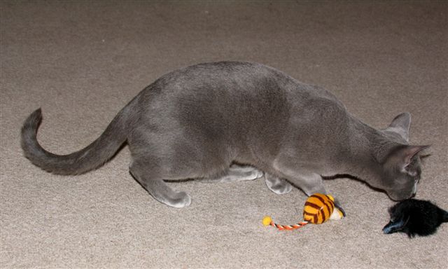 Phoebe am 09.12.2006